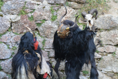 Moarbocha-Teufln-7