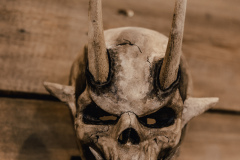 Schroefl-Masken-2