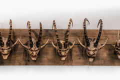 Schroefl-Masken-4