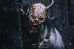 Stefan-Koidl-3