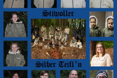 Stiwoller-Silber-Teifln1
